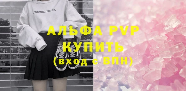 прущие грибы Каменногорск