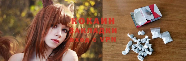 прущие грибы Каменногорск