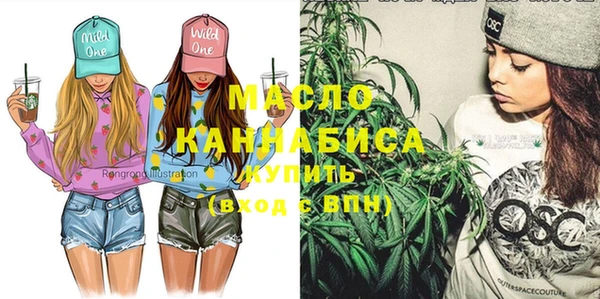 скорость Каменка