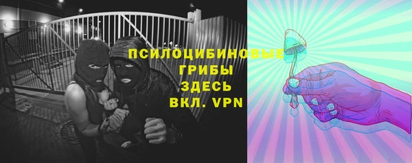 скорость Каменка