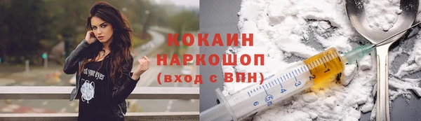 скорость Каменка