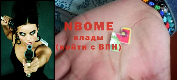прущие грибы Каменногорск