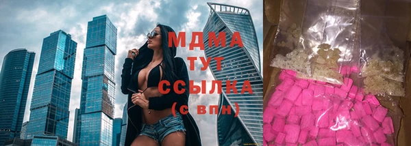 прущие грибы Каменногорск