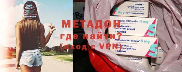 прущие грибы Каменногорск