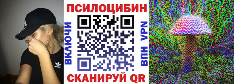 Псилоцибиновые грибы Magic Shrooms  Купить где  Темрюк 